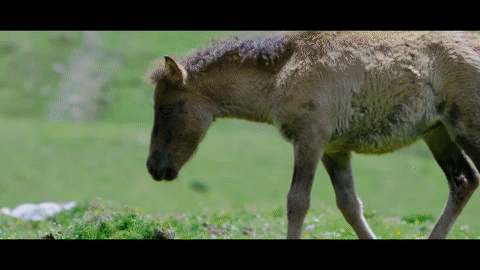 5aed8435c6dccbc2f02a94c77518db38.gif