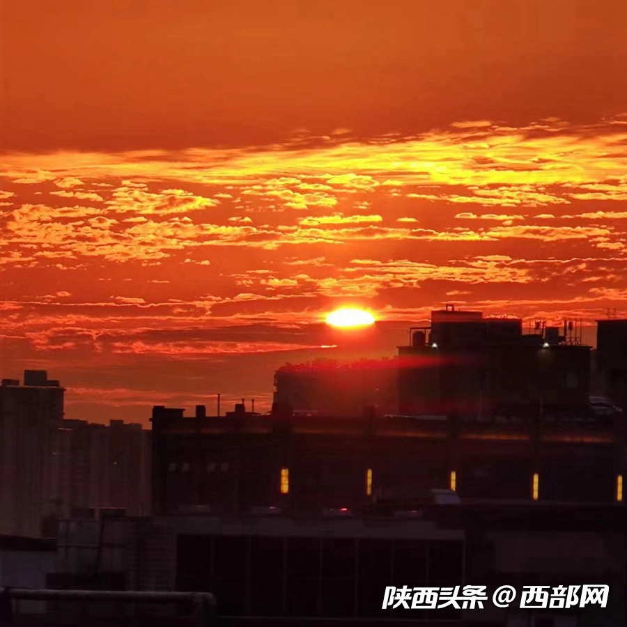 51e773f98233ab10f5619e9c32330959.png