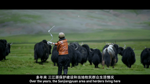 804d05855bc2f1fa6eaddc27cee8d59e.gif