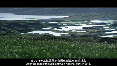 a83ee7cf410a7bc29eb33ee36c94e65f.gif