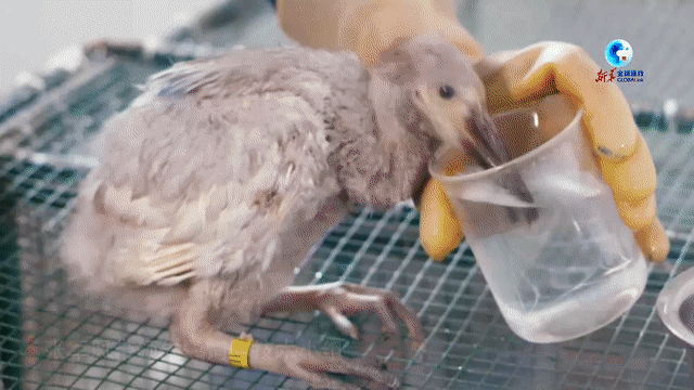 79cf2f3c512623826908cfa60ed73bc4.gif