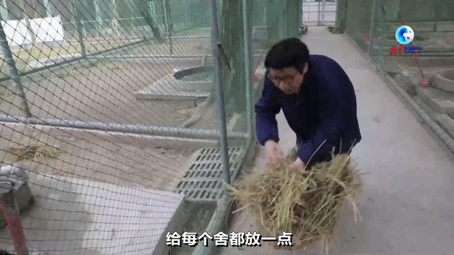 f713a9f62df0b0eefc5f78e3a88bc854.gif