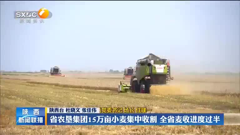 省农垦集团15万亩小麦集中收割 全省麦收进度过半