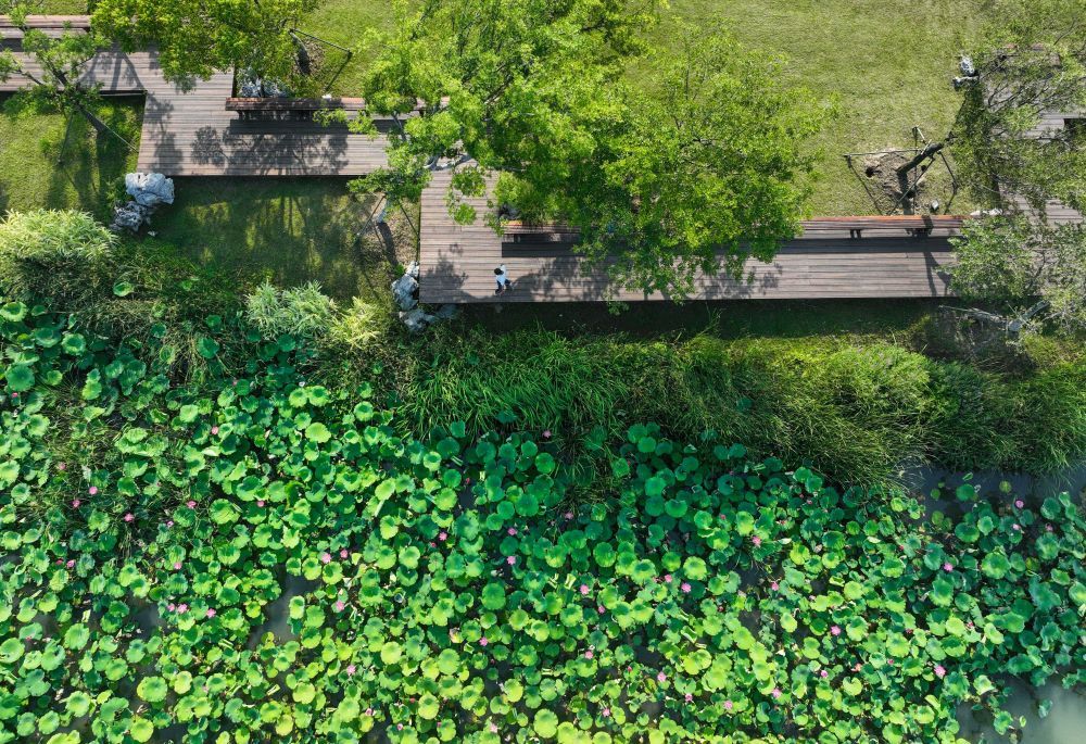 aefe96e833d18abf6864e3c418ea4acd.jpeg