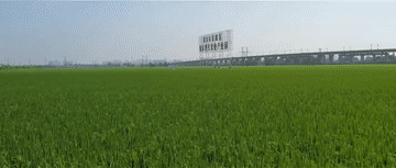 2a6cafc0ca007afca473fa20fa039f7f.gif