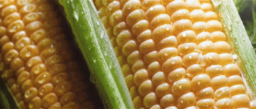 3a1f7827e06bb790ee7e34619227028d.gif