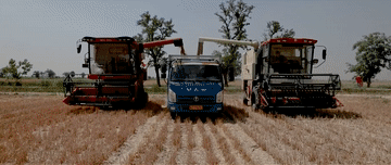 c15c65f2f73772aef0962d6dfb672628.gif