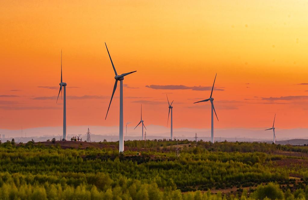 55a764185f98e150b4c8975ec2bb7d5a.jpeg