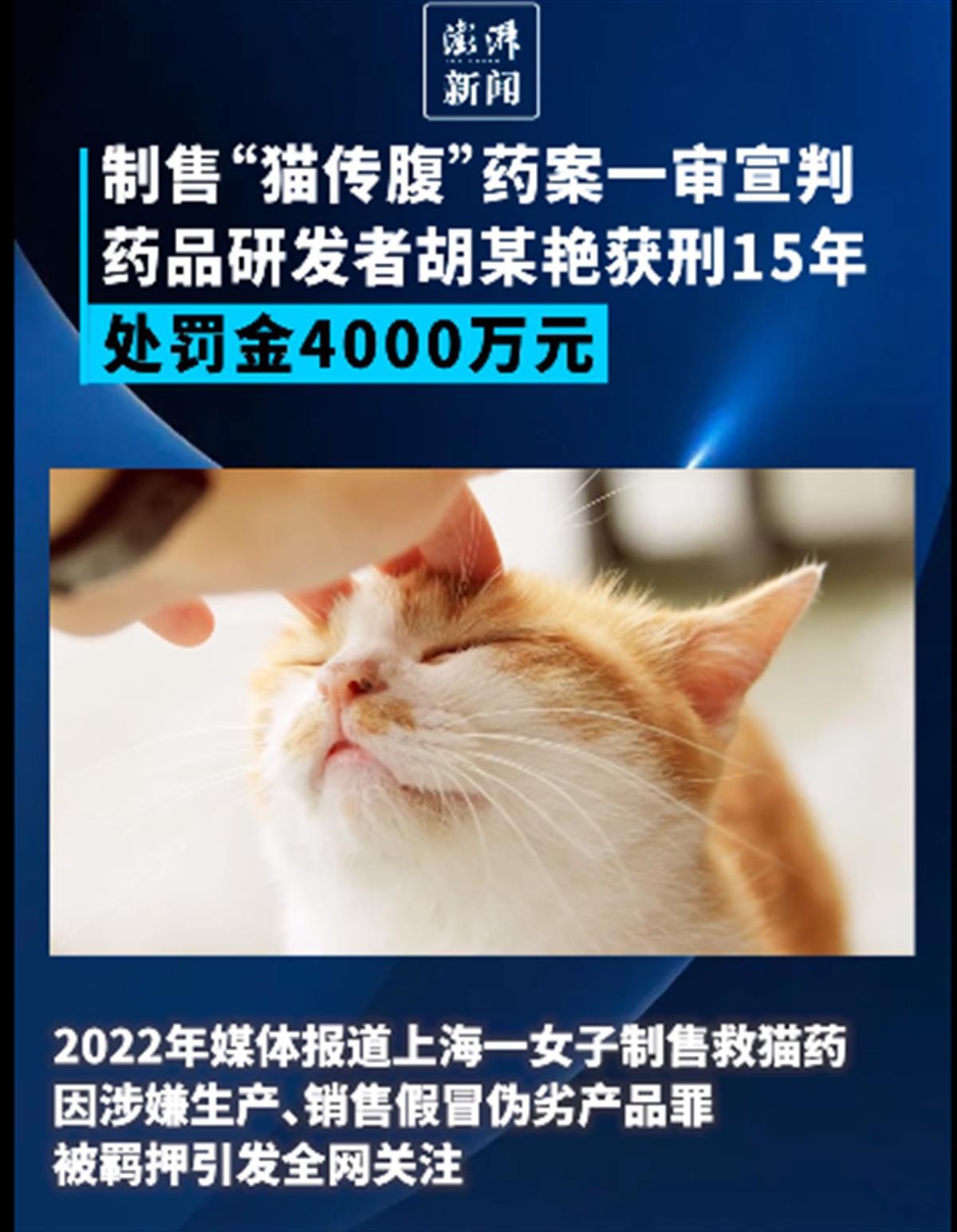 16d81bacce0e5e88b07c5f485a16232c.jpeg