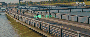 14850d378d56de0cca3312dbbd473290.gif