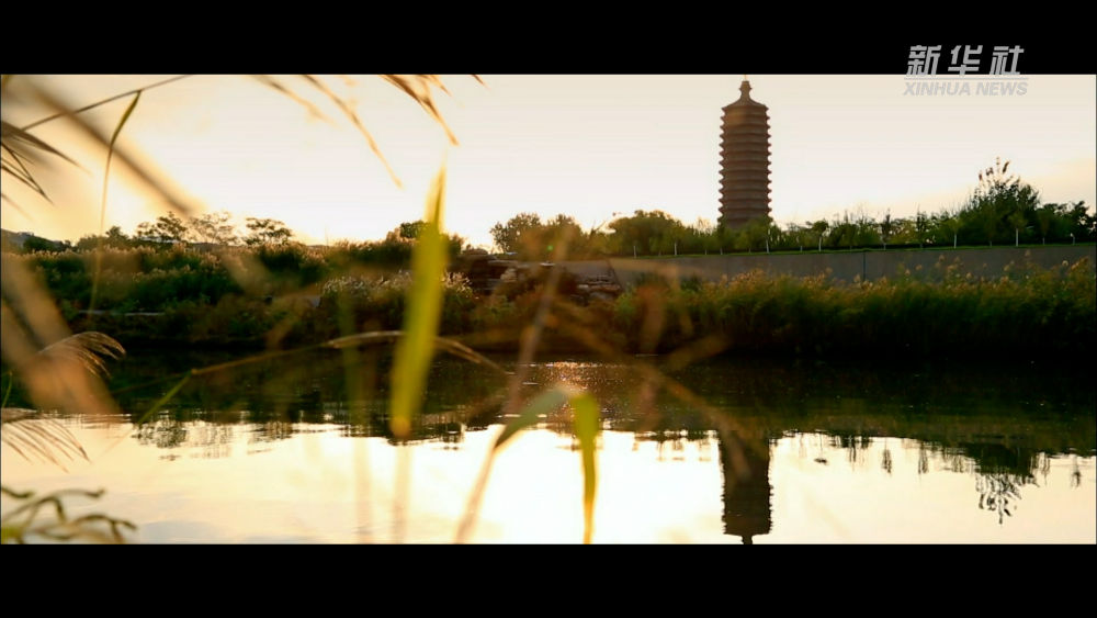 043ac811b19baf5a92d53a03ca54d8d1.jpeg