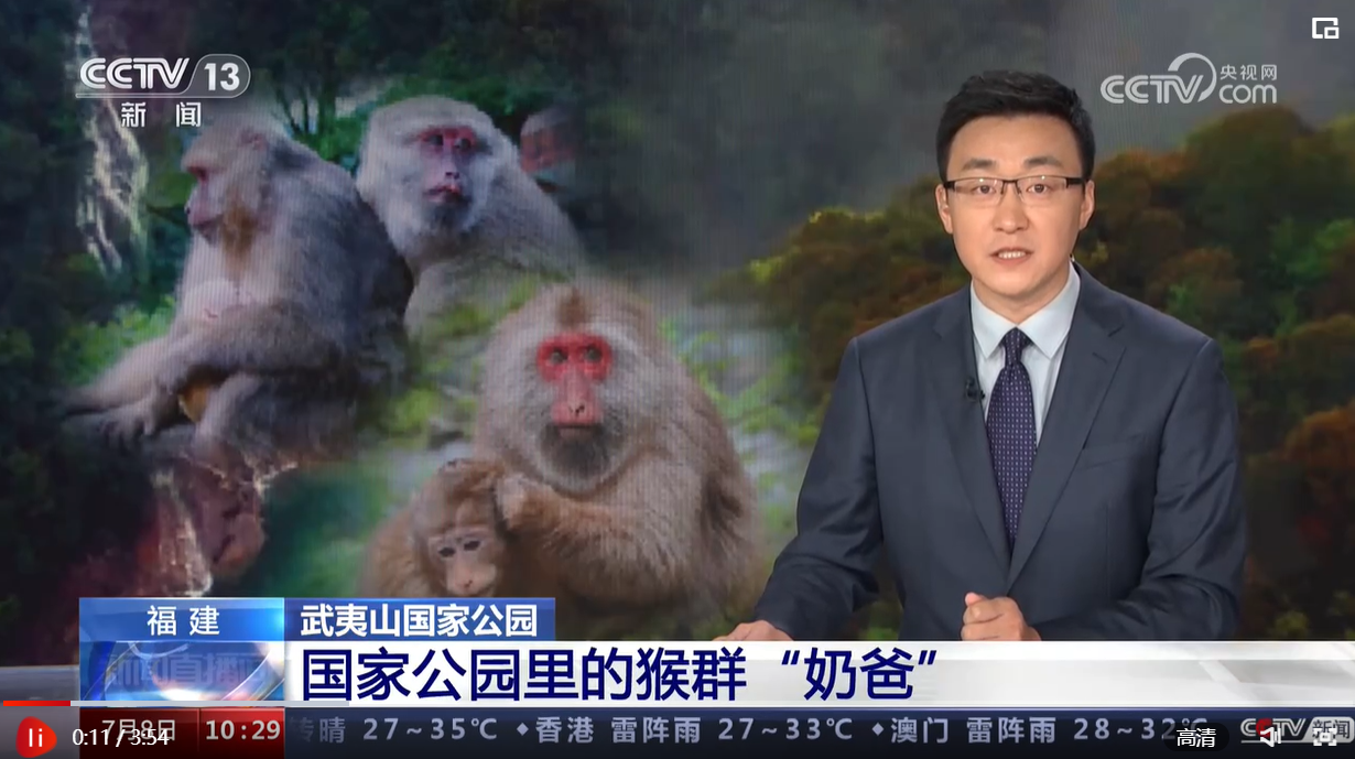 5eb5b7b8d4862585534c7aafe3fbb0e8.png