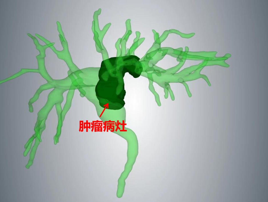 8fd32c367f3d6e51e199a693b1f8feb4.png