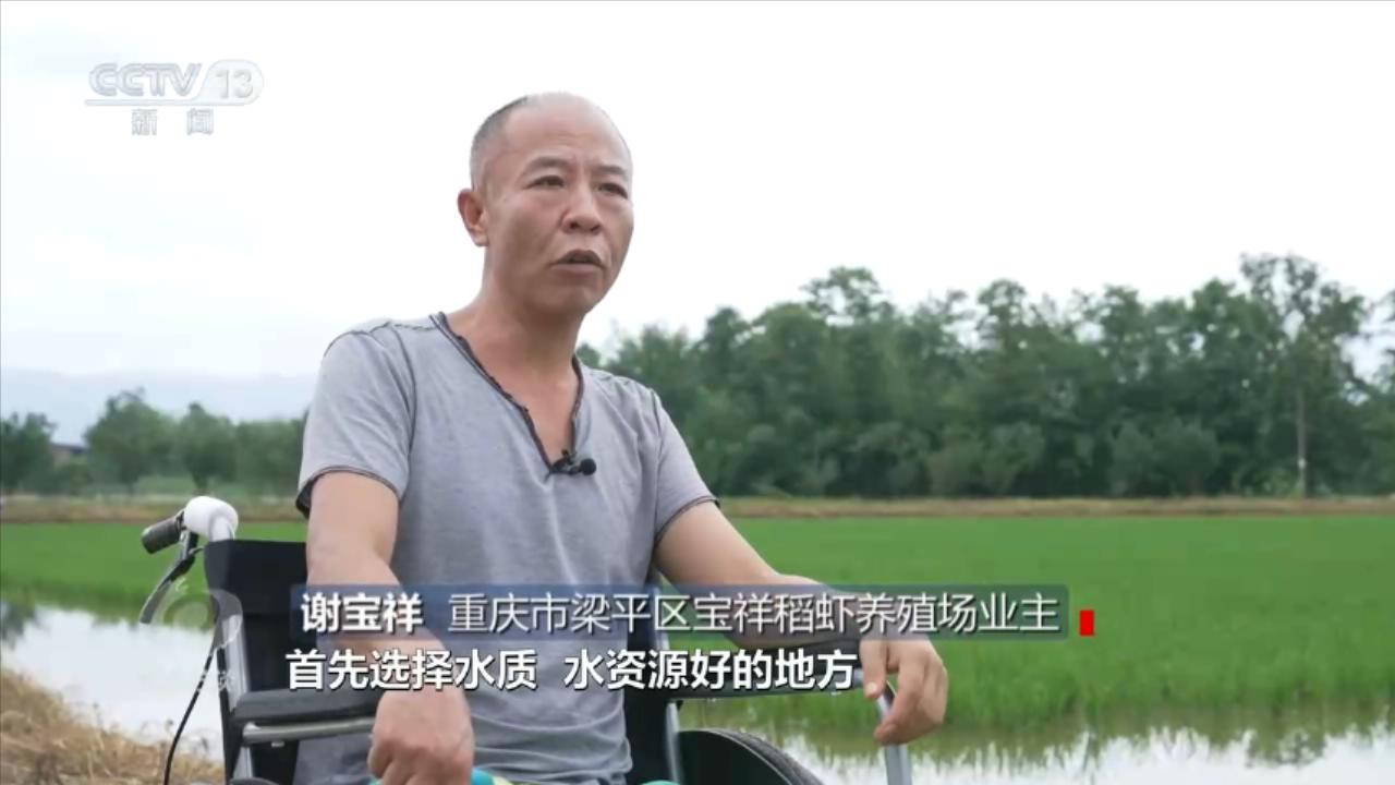 焦点访谈:小微湿地大能量 - 西部网(陕西新闻网)