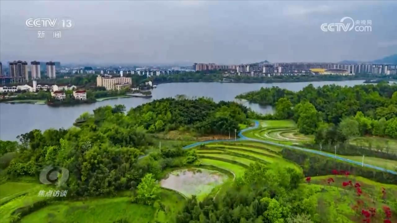 焦点访谈:小微湿地大能量 - 西部网(陕西新闻网)