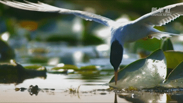 9929ca9f0e21b4935b103c74d603f305.gif