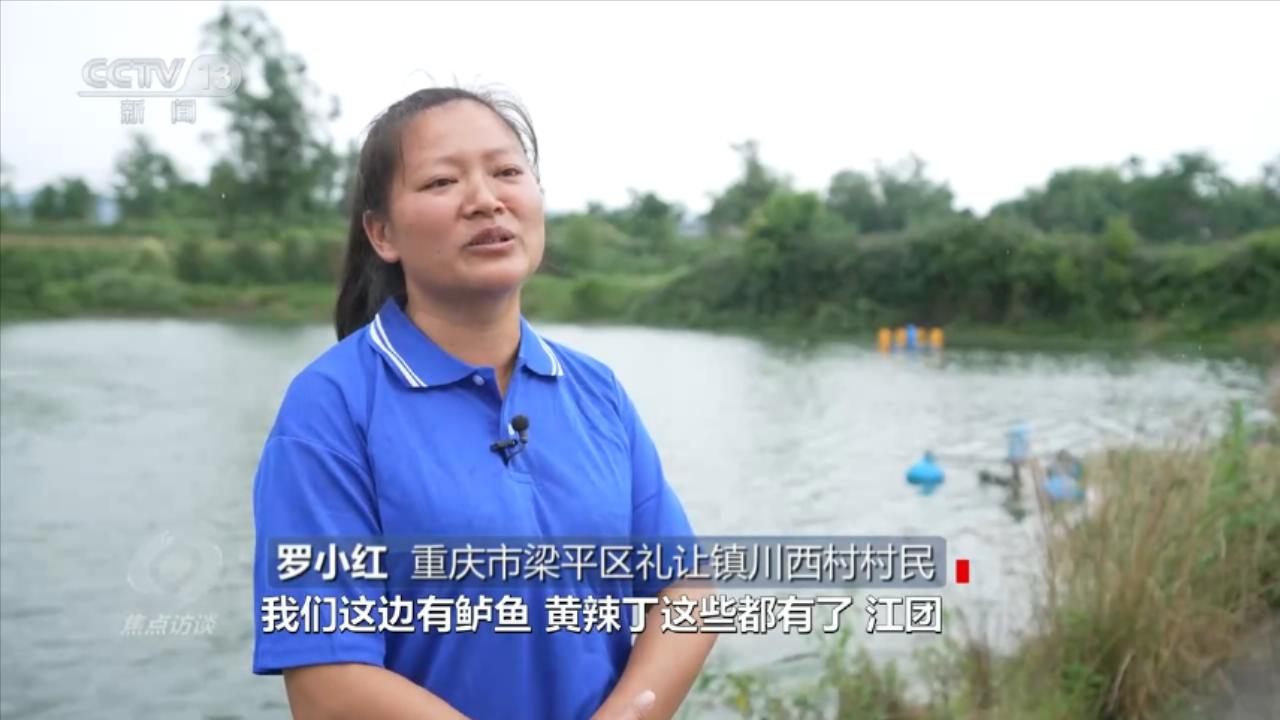 焦点访谈:小微湿地大能量 - 西部网(陕西新闻网)