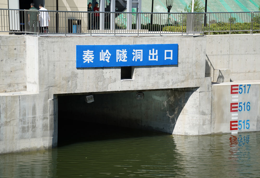 8ce90d812d0ad3d66338cf737f655e48.jpeg