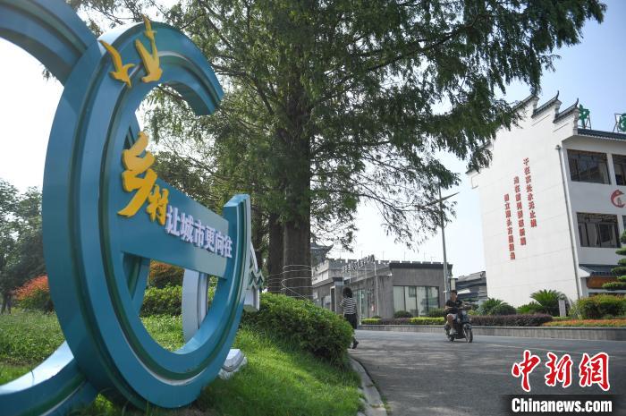 乡村之美｜访“常青树”滕头村：乡村，让城市更向往