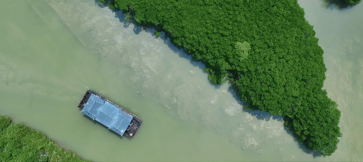 8ac2bff1b25353c7d5b224aa7d468ead.gif
