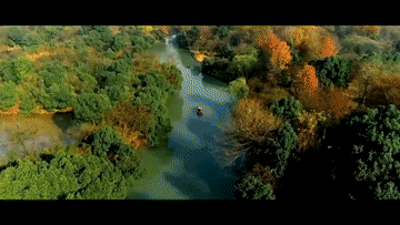99c5a6f98c773332fc4534f04d888542.gif