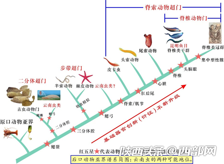 3235b5610519871a56bbc7c334e7a3d6.png