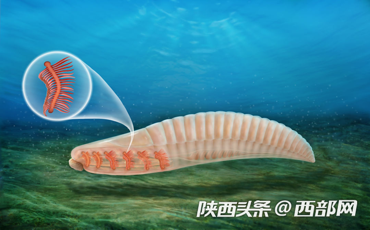 8c98f48a84b2cd6dcfaec13f63acce84.png