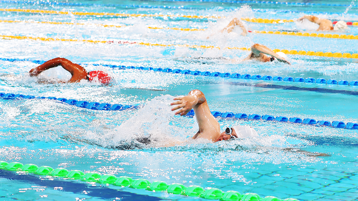 組圖｜300余名游泳愛好者同場競技  陜西全民游泳健身活動舉行