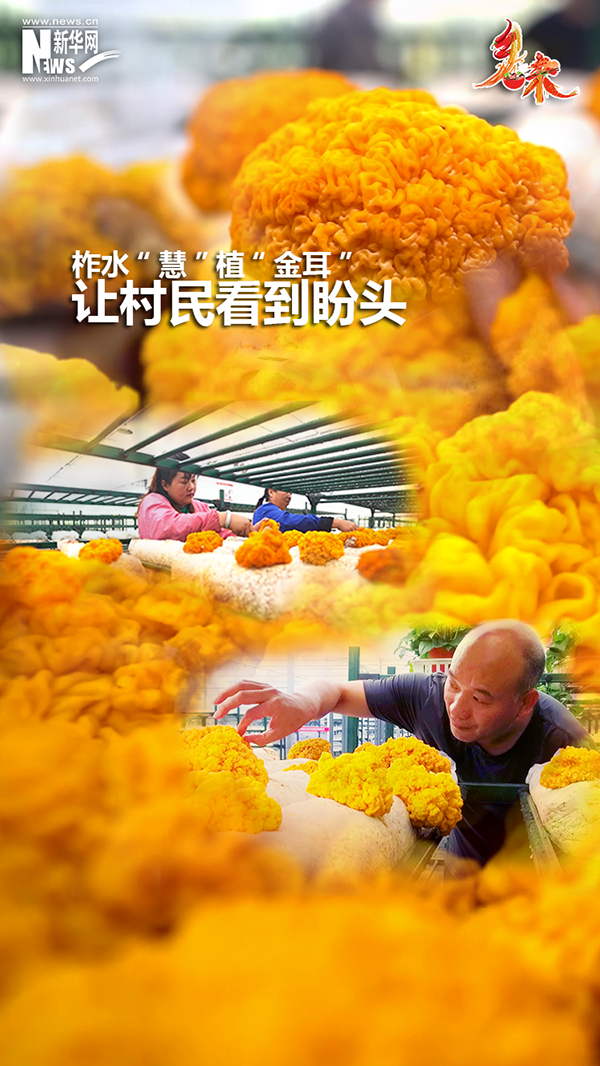 0b62b6a13a7844aa0336800d43396d85.png