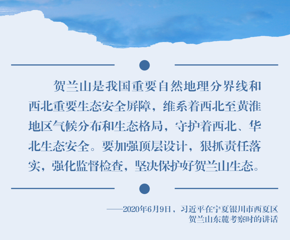 99e295f93c5316ca64495b3251a04a10.png