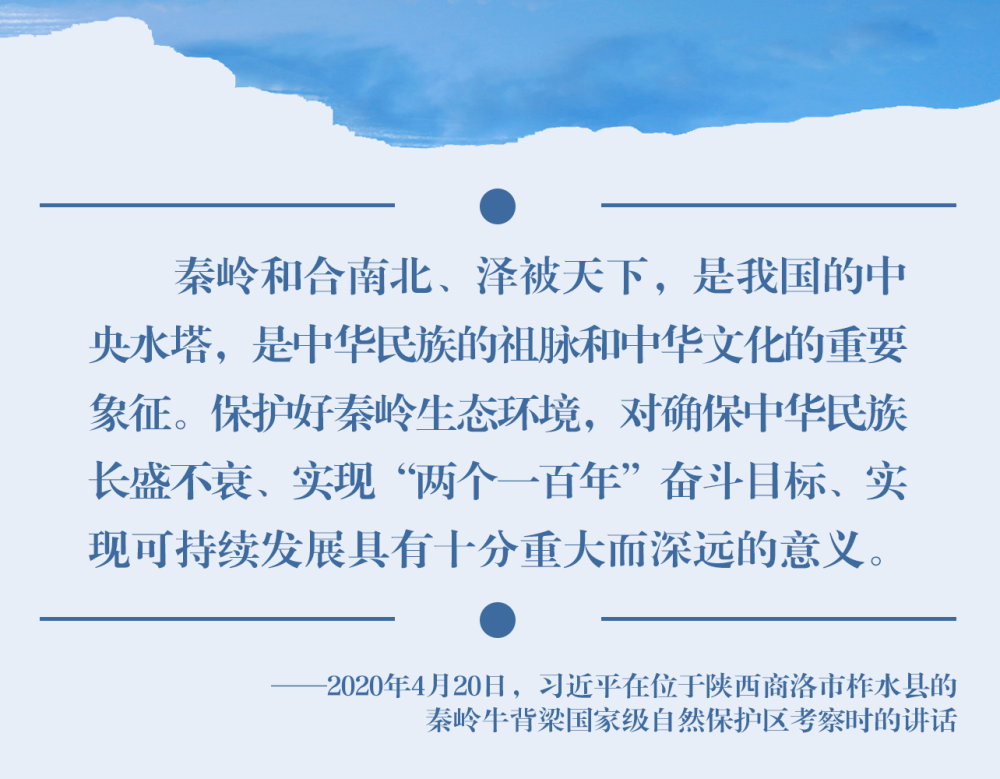 a3d3633d62d8d10c68ca3f2219ef5be1.png
