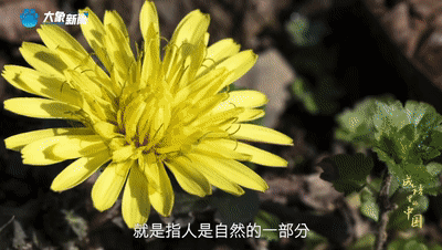 a3fae5bd13fa592c450c0e229e25139c.gif