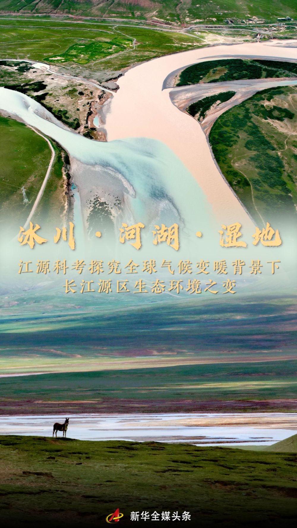 494175b527c26eecdc1a6feba8611393.jpeg