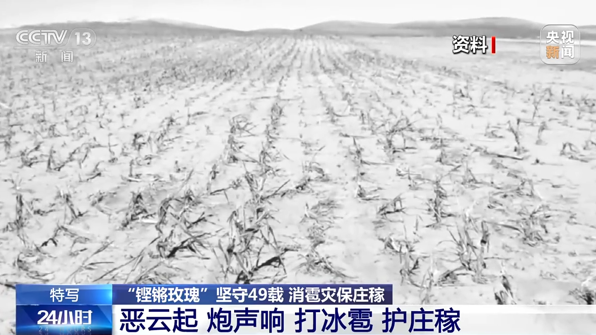 f5d8b5454aa10a5ef4bf7d21724ed416.png