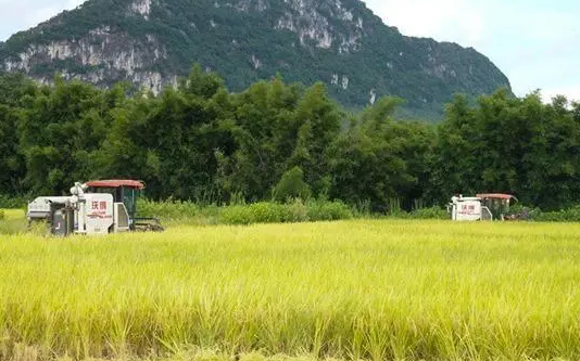 国家统计局关于2023年早稻产量数据的公告