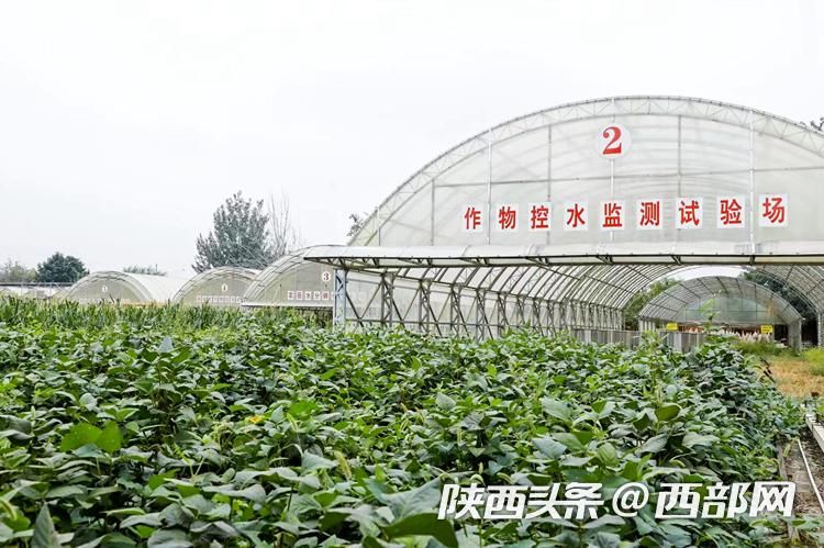 陕西省节水示范宣传一线见闻：科技发展引领农业节约化用水