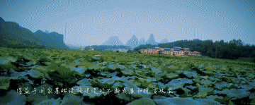 180c27609399e9839967b0cd935650ce.gif