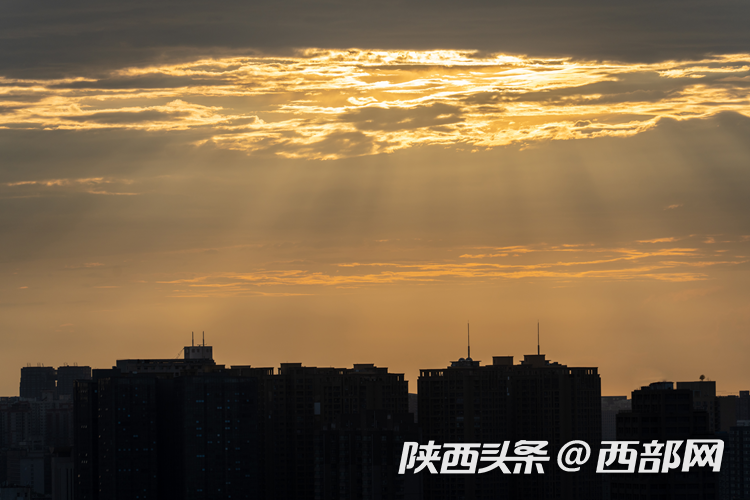7f605814cb0c26be7901ae45c4e15da3.png
