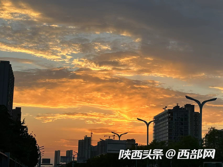 c1db37805e80a40c38b6625c49762cc4.png