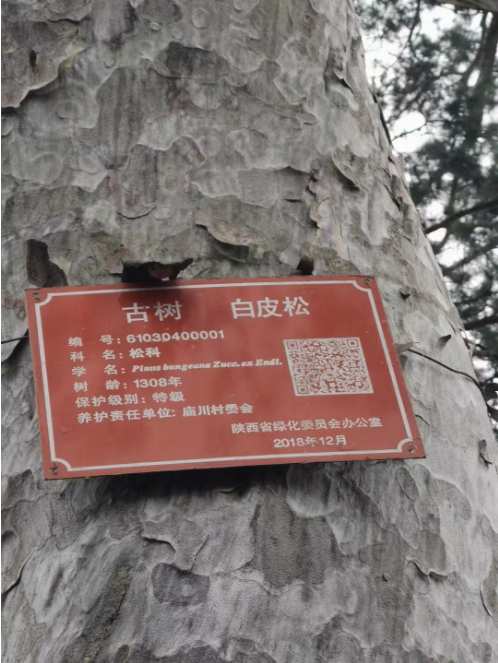 c18a058a72c9e0ee13c902265f0c1650.png