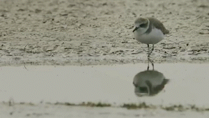 7dd9befc3584f76856c263b274d7285d.gif