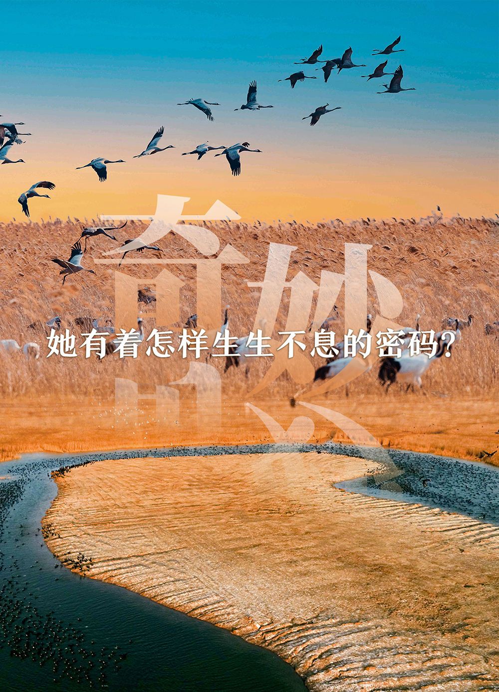 c13c2643080f49304537b1b65428d2b3.jpeg