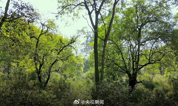 ecbf1bcb33d575155daf31814ff69aeb.png