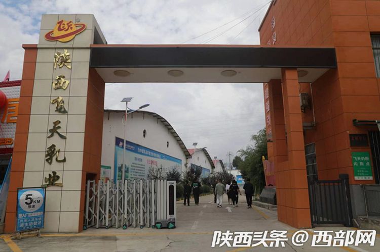 陕西好网民“县”在进行时丨陕西飞天乳业有限公司：羊奶真的“飞天”了！