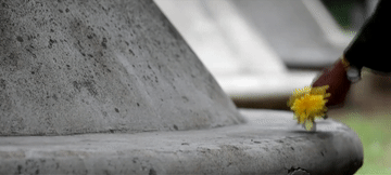 6ccd2a51b865b3b5469472e43bb44787.gif