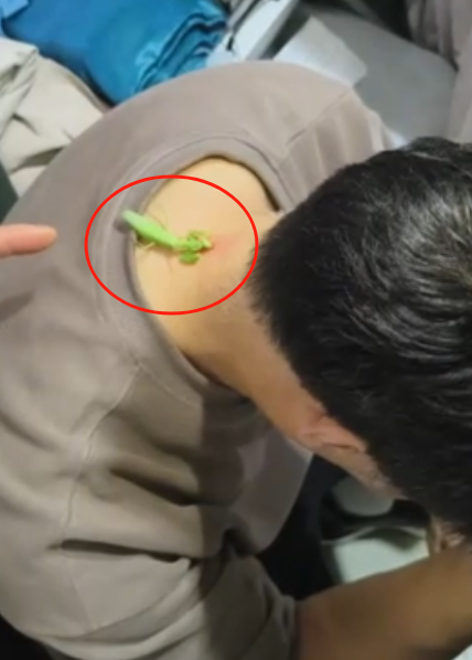 abe4421ee98d0d1c85823413f7872efe.png