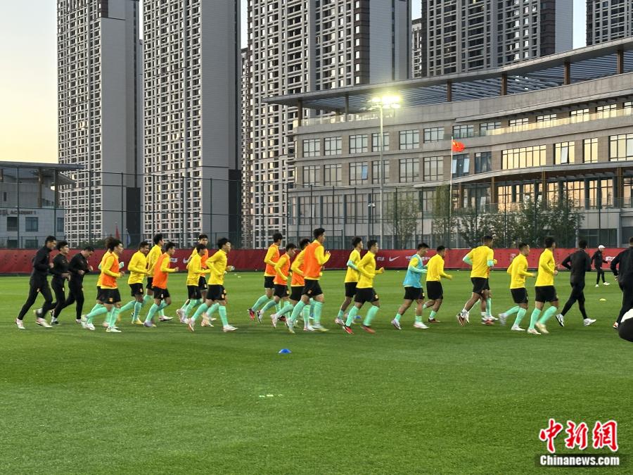 国足在赛前踩场训练中。<a target='_blank' href='/' >中新网</a>记者 卞立群 摄