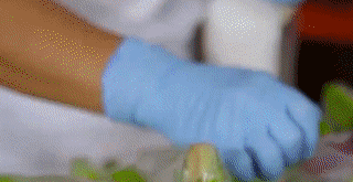 211e5707a43a69468d4baa5b754e7f51.gif