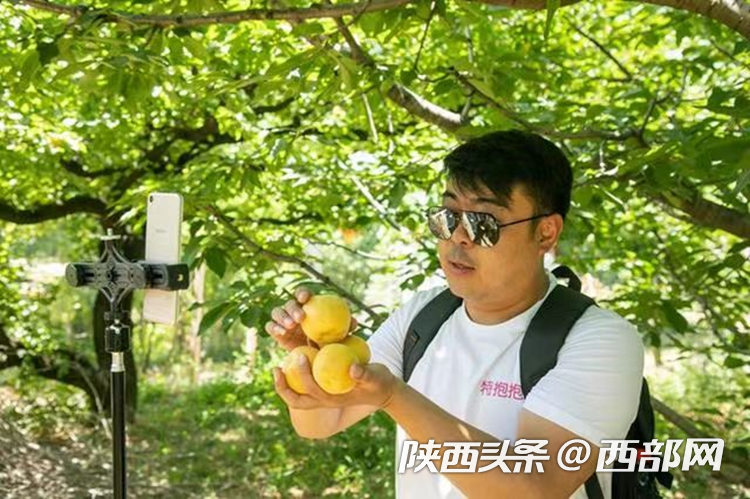 d35ae09c7cbdfc23a79c54087d64358c.png