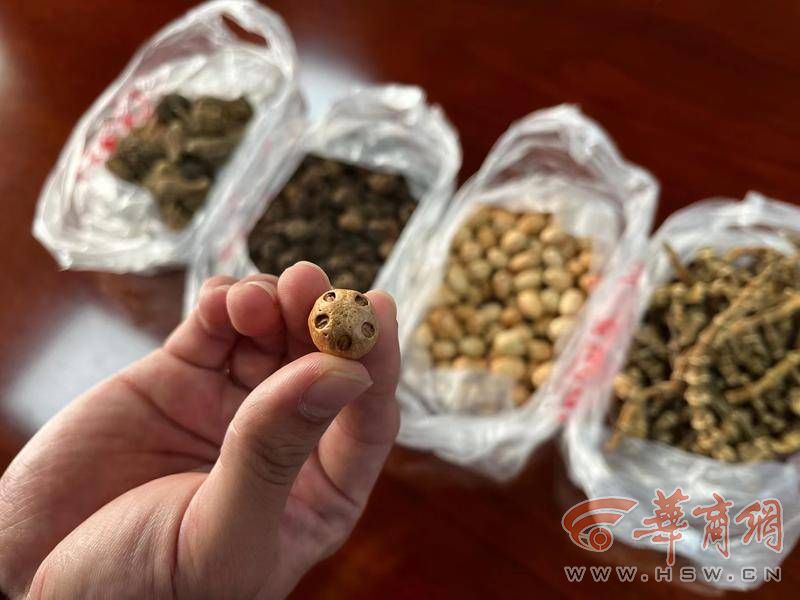 微信图片_20231021151704.jpg